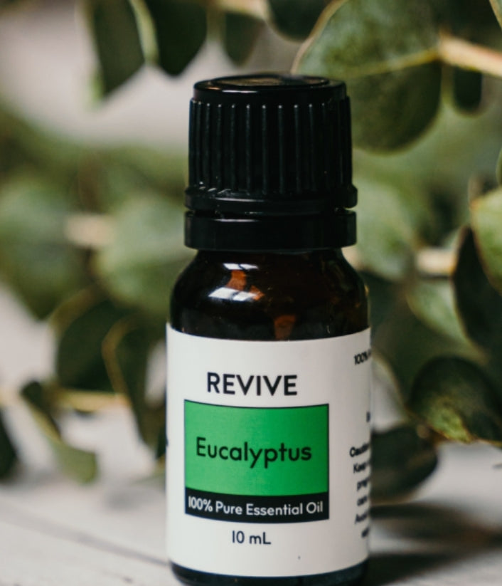 Eucalyptus Essential Oil